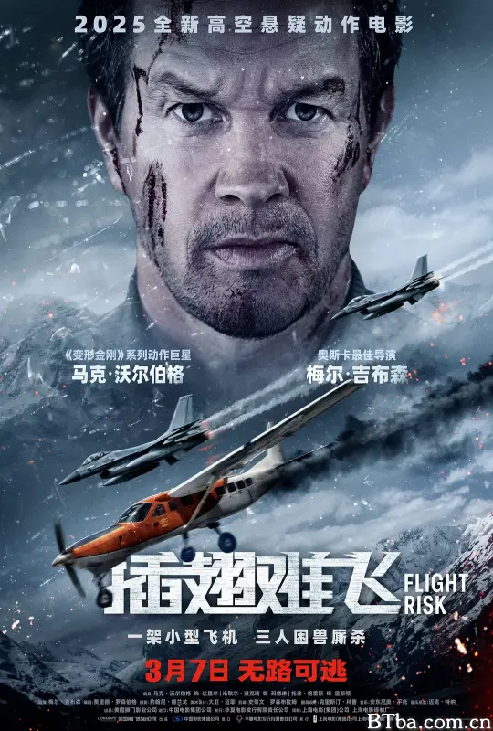 插翅难飞 高空杀机(港)，失速机劫(台) Flight Risk (2025) 1080P/4K BT磁力 迅雷网盘下载