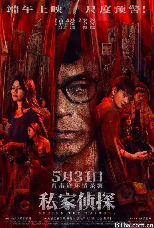 私家侦探 私家偵探 (2025) 1080P/4K BT磁力 迅雷网盘下载