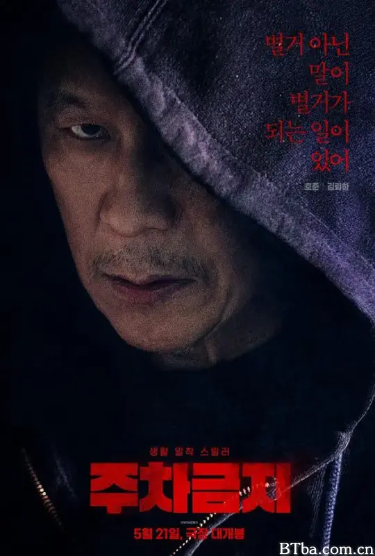 禁止停车 주차금지 (2025) 1080P/WEB-DL BT磁力 迅雷网盘下载
