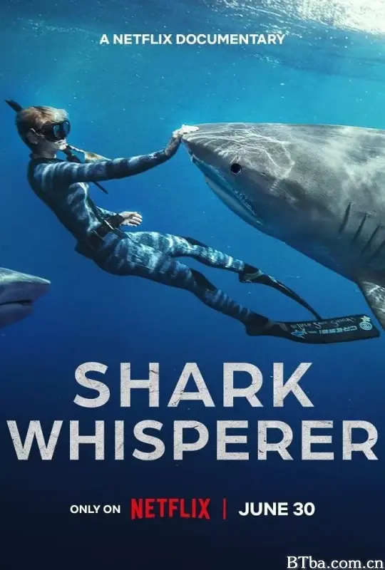 鲨语者 Shark Whisperer (2025) 1080P/4K BT磁力 迅雷网盘下载-影音屋