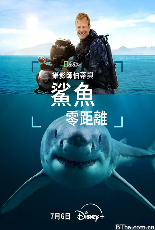 摄影师贝尔蒂与鲨鱼零距离 Sharks Up Close With Bertie Gregory (2025) 1080P/4K BT磁力 迅雷网盘下载-影音屋
