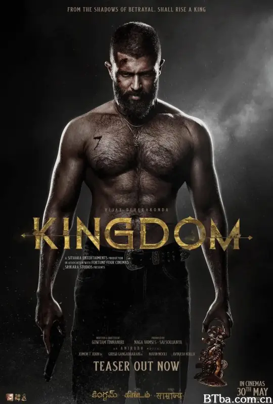 王国 Kingdom (2025) 1080P/WEB-DL BT磁力 迅雷网盘下载