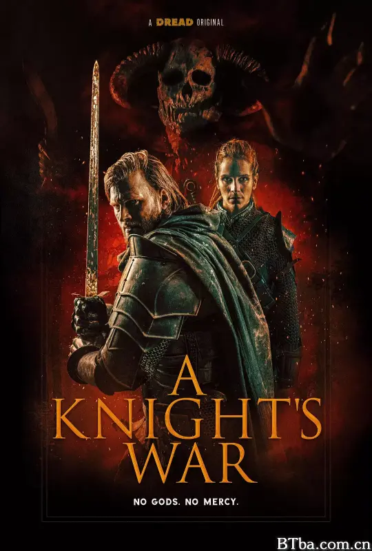 骑士的战争 A Knight’s War (2025) 1080P BT磁力 迅雷网盘下载