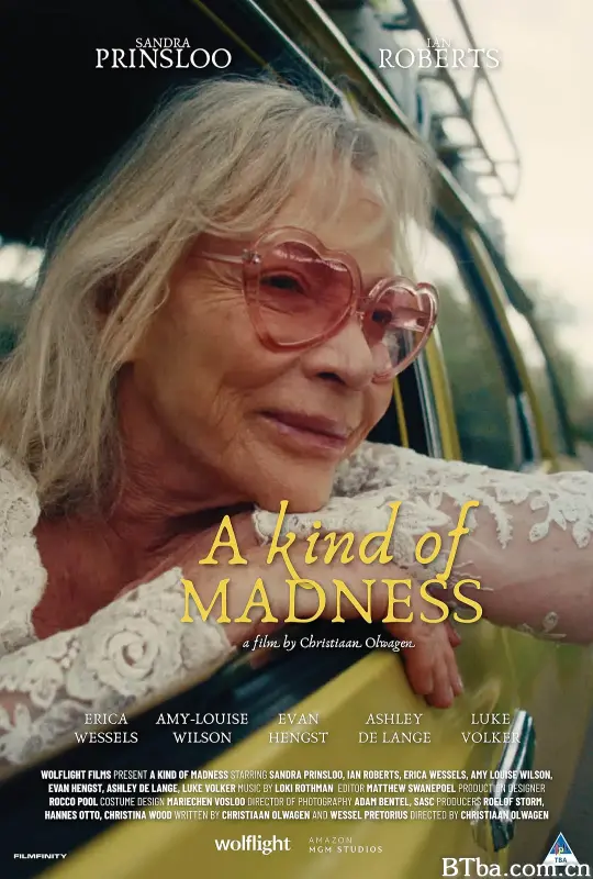 某种疯狂 A Kind of Madness (2025) 4K/WEB-DL BT磁力 迅雷网盘下载
