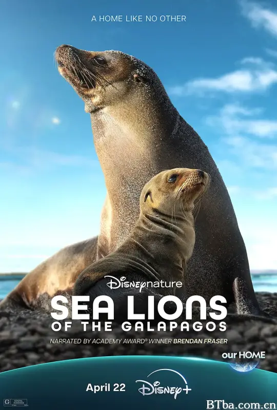 海狮利奥环岛记 Sea Lions of the Galápagos (2025) 1080P/4K BT磁力 迅雷网盘下载-影音屋