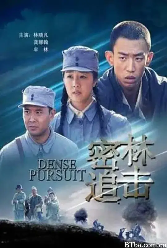 密林追击 (2011) 1080P/WEB-DL 高清免费观看 BT磁力 迅雷网盘下载