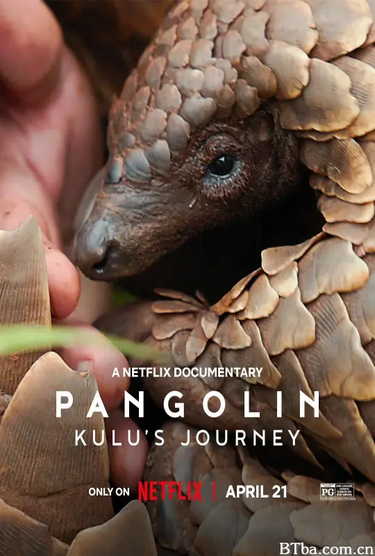 穿山甲Kulu的旅程 Pangolin: Kulu’s Journey (2025) 4K/WEB-DL BT磁力 迅雷网盘下载-影音屋
