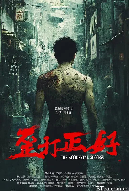 歪打正好 (2025) 1080P/4K 高清免费观看 BT磁力 迅雷网盘下载