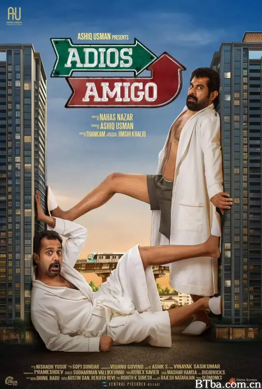 再见，朋友 Adios Amigo (2025) 1080P 高清免费观看 BT磁力 迅雷网盘下载