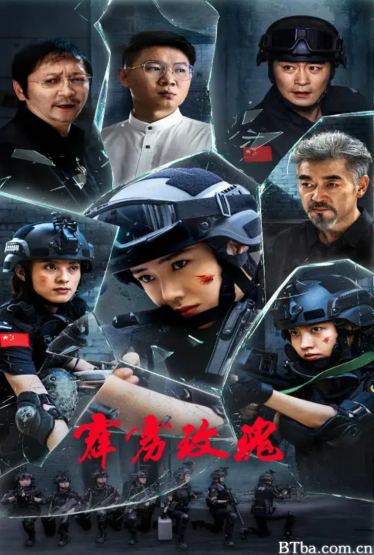 霹雳玫瑰 (2025) 4K/WEB-DL 高清免费观看 BT磁力 迅雷网盘下载