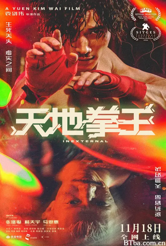 天地拳王 裡應外合 (2024) 1080P/4K BT磁力 迅雷网盘下载
