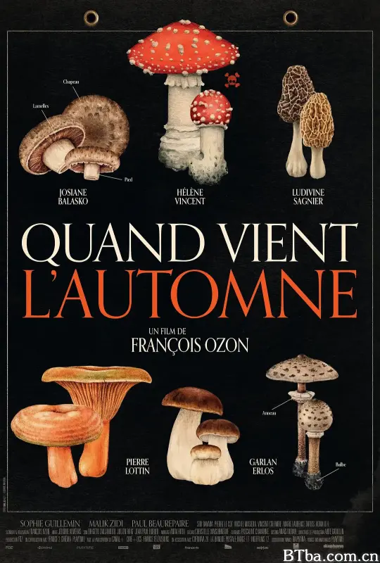 秋日何时来 秋光变奏曲(台) 谁知菇毒心(港) Quand vient l'automne (2024) 1080P 高清免费观看 BT磁力 迅雷网盘下载