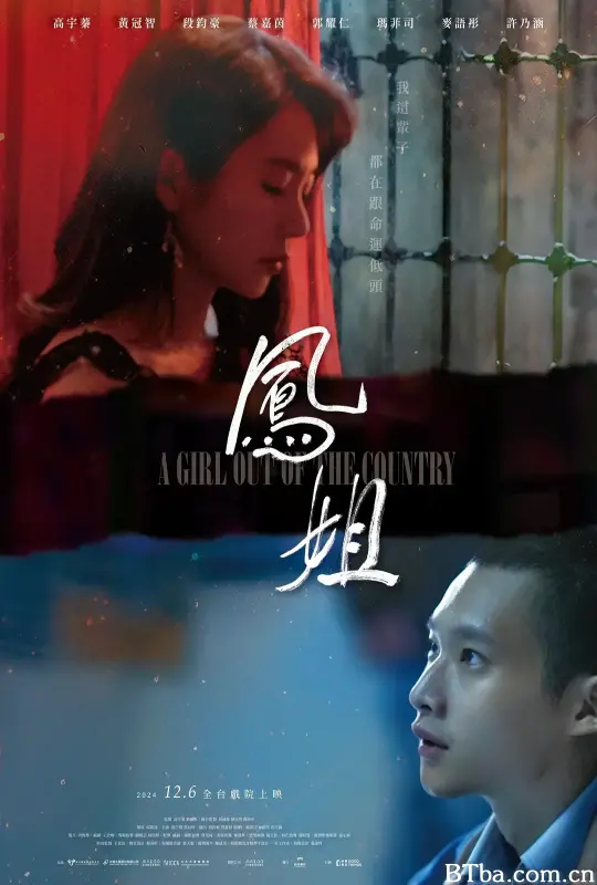 凤姐 鳳姐 (2024) 1080P/WEB-DL BT磁力 迅雷网盘下载