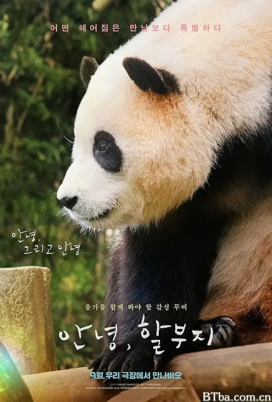 再见，福宝 再‧见熊猫福宝(港)^再见，福宝(台) 안녕，할부지 (2024) 1080P/WEB-DL BT磁力 迅雷网盘下载-影音屋