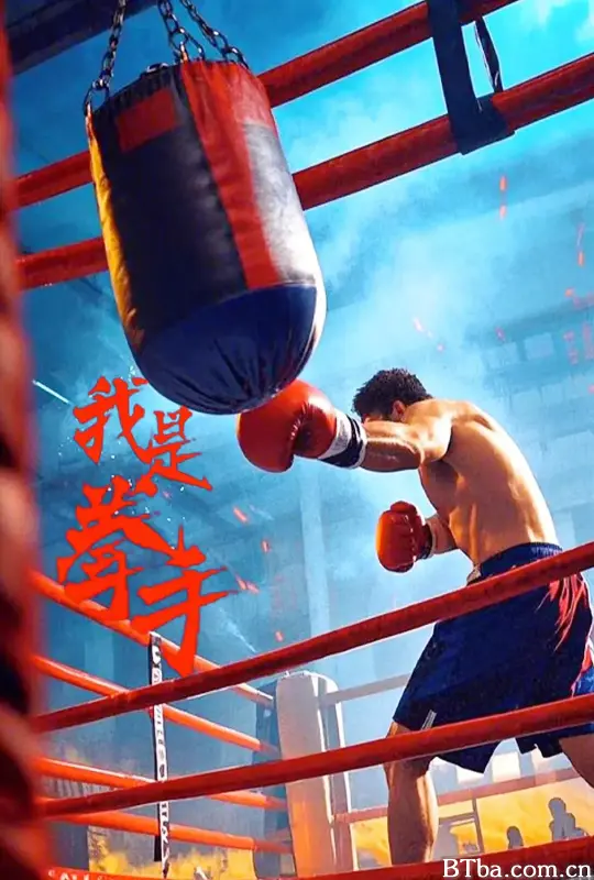 我是拳手 (2025) 1080P/4K BT磁力 迅雷网盘下载