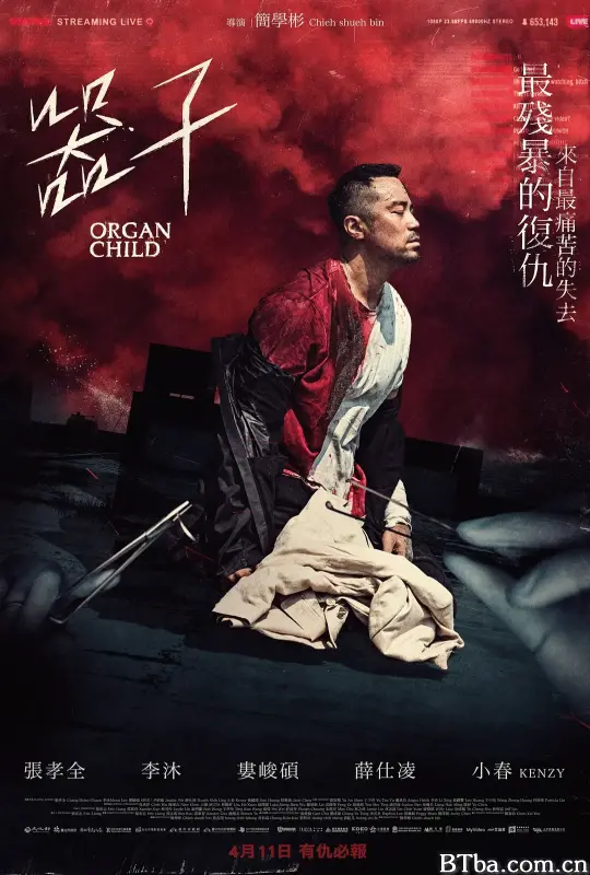 器子 (2025) 1080P/WEB-DL BT磁力 迅雷网盘下载
