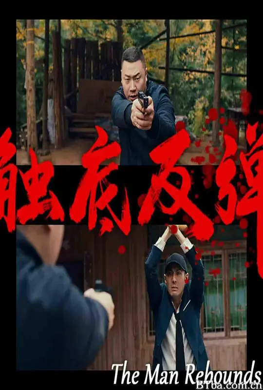 触底反弹 (2024) 1080P/4K BT磁力 迅雷网盘下载