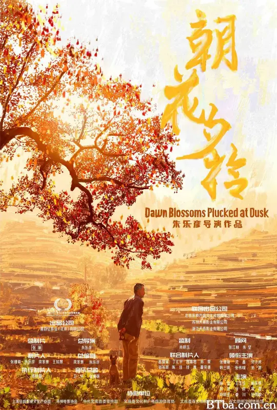 朝花夕拾 (2024) 1080P/WEB-DL BT磁力 迅雷网盘下载