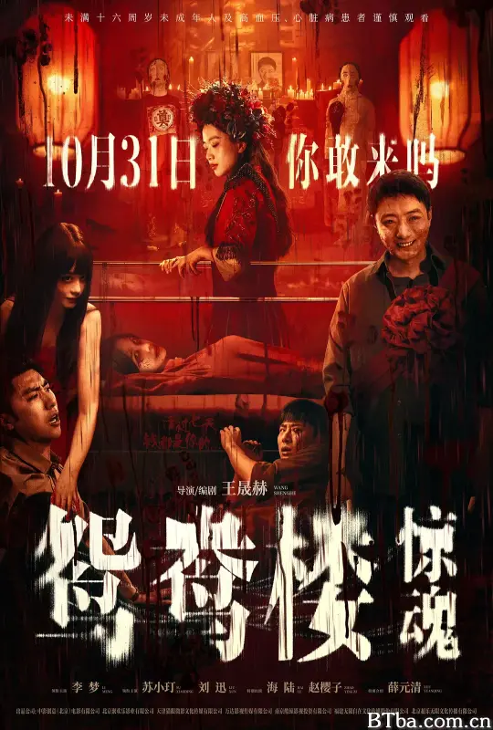 鸳鸯楼·惊魂 (2024) 4K/WEB-DL BT磁力 迅雷网盘下载