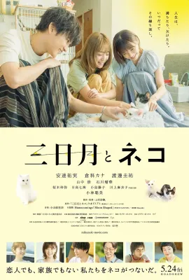 三日月与猫/三日月とネコ