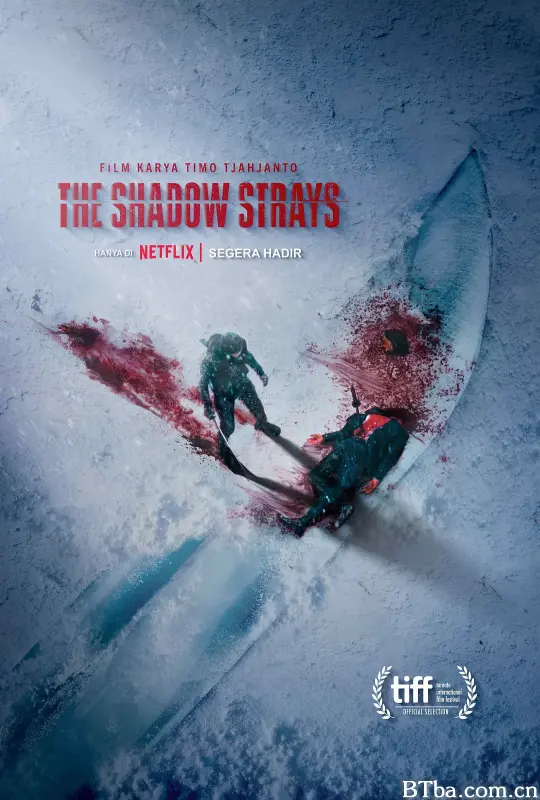 叛影浪客 The Shadow Strays (2024) 1080P/WEB-DL BT磁力 迅雷网盘下载