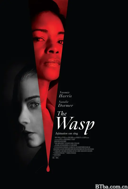 黄蜂螫 The Wasp (2024) 1080P/4K BT磁力 迅雷网盘下载