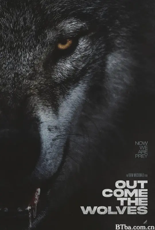 狼群出动 Out Come the Wolves (2024) 1080P/4K BT磁力 迅雷网盘下载