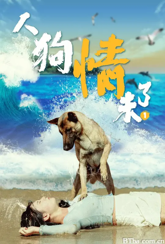 人狗情未了 (2024) 1080P/4K BT磁力 迅雷网盘下载