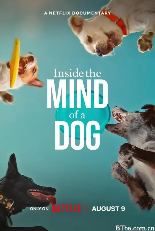 汪星人的奇思妙想 Inside the Mind of a Dog (2024) 4K/WEB-DL BT磁力 迅雷网盘下载-影音屋