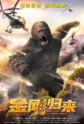 金刚归来
