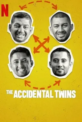 双胞胎乌龙：翻倍的兄弟情/The Accidental Twins