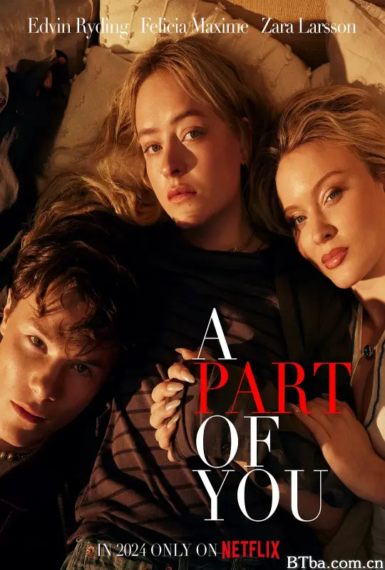 你的一部分 A Part of You (2024) 1080P/4K BT磁力 迅雷网盘下载