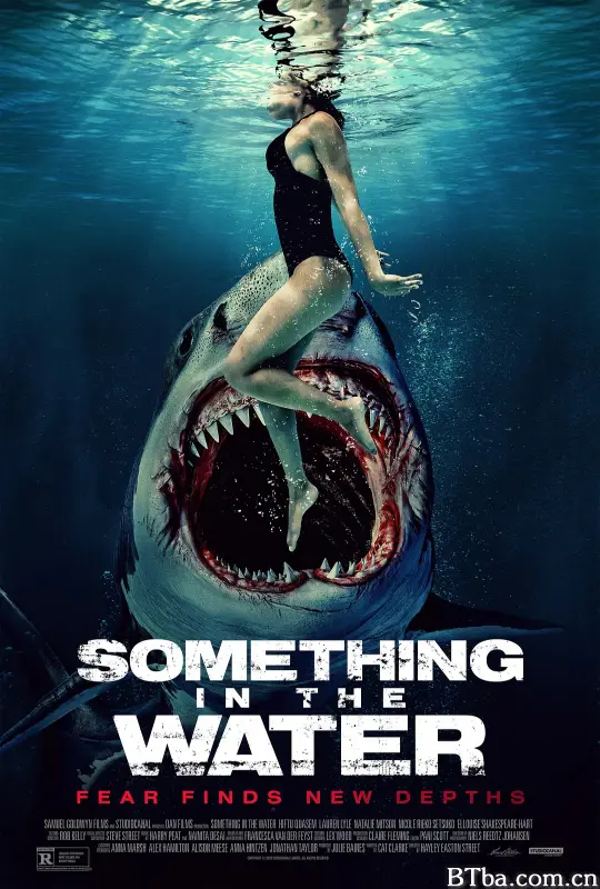 鲨齿险滩 逃出狂鯊島(台) Something in the Water (2024) 1080P/WEB-DL BT磁力 迅雷网盘下载