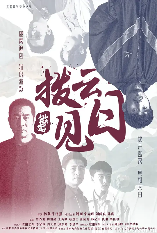 拨云见日 (2024) 4K/WEB-DL BT磁力 迅雷网盘下载