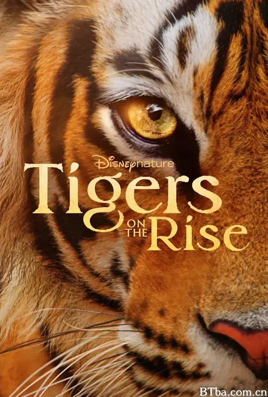 老虎崛起 Tigers on the Rise (2024) 1080P/4K BT磁力 迅雷网盘下载-影音屋