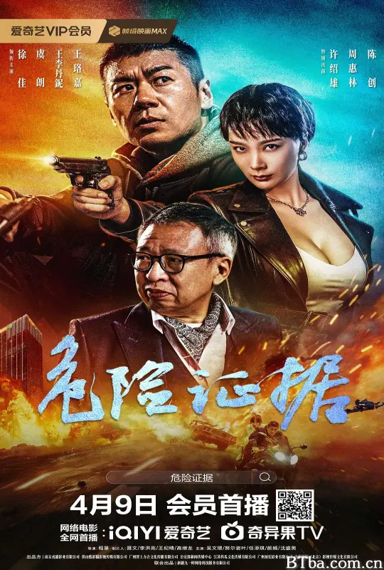 危险证据 (2024) 1080P/4K BT磁力 迅雷网盘下载