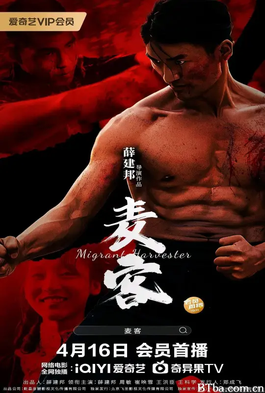 麦客 (2024) 1080P/4K BT磁力 迅雷网盘下载