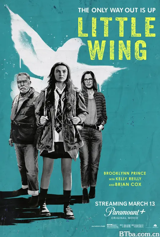 小翅膀 Little Wing (2024) 1080P/4K BT磁力 迅雷网盘下载