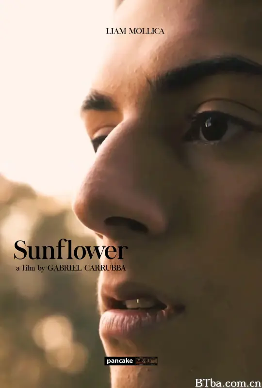 向日葵 Sunflower (2023) 1080P/WEB-DL BT磁力 迅雷网盘下载
