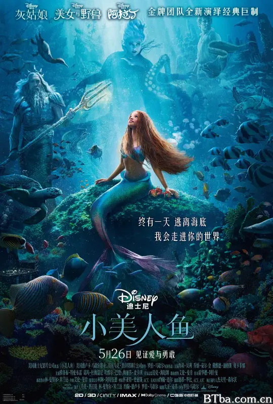 小美人鱼 小鱼仙(港) The Little Mermaid (2023) 1080P/4K BT磁力 迅雷网盘下载
