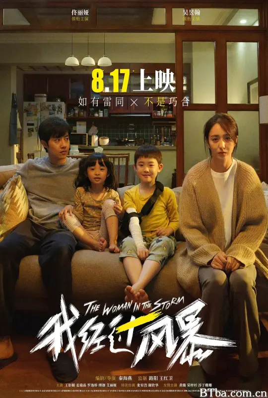 我经过风暴 (2023) 1080P/4K BT磁力 迅雷网盘下载