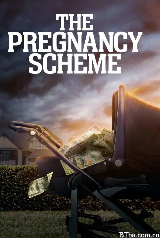 验孕阴谋 The Pregnancy Scheme (2023) 1080P/WEB-DL BT磁力 迅雷网盘下载