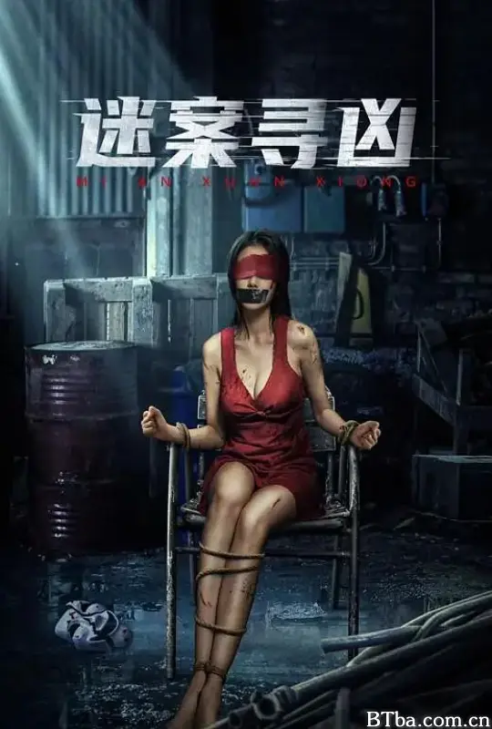 迷案寻凶 (2024) 1080P/4K BT磁力 迅雷网盘下载