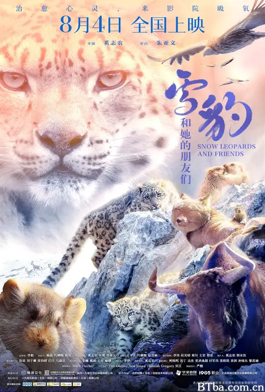 雪豹和她的朋友们 (2023) 1080P/4K BT磁力 迅雷网盘下载-影音屋