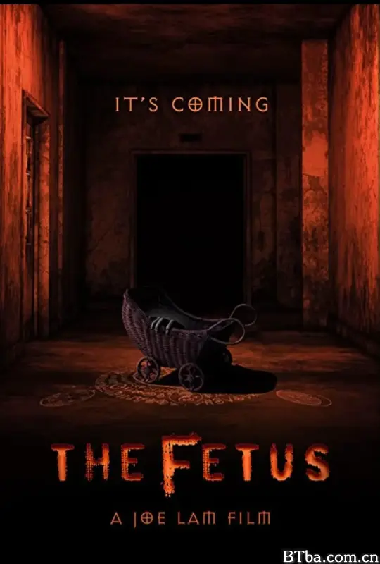 胎儿 The Fetus (2025) 1080P BT磁力 迅雷网盘下载