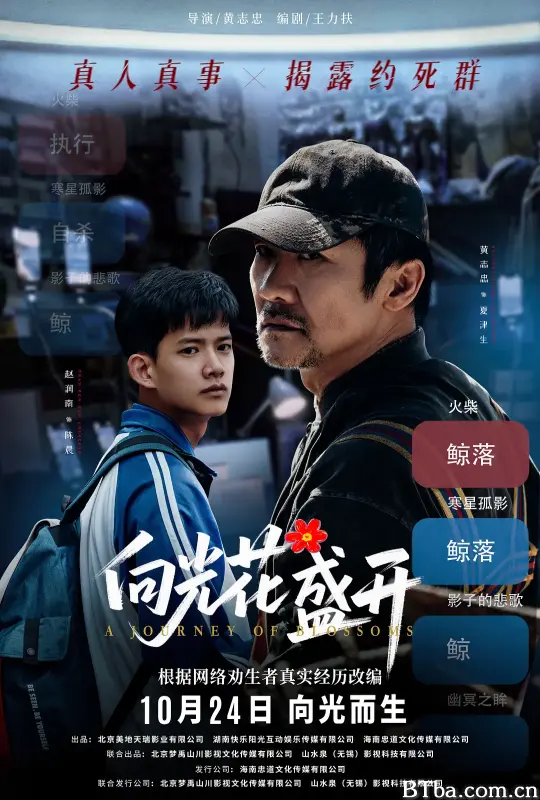向光花盛开 (2025) 1080P/4K BT磁力 迅雷网盘下载