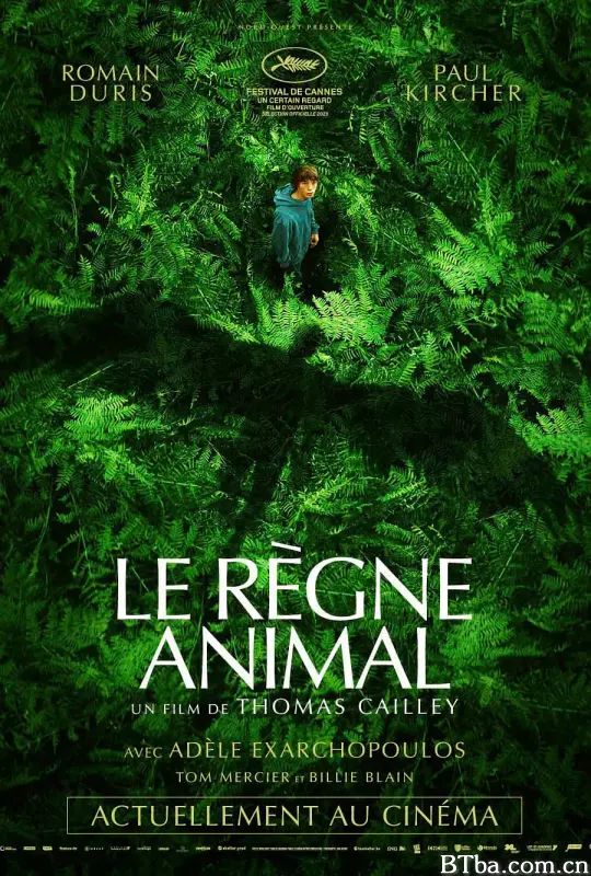 动物王国 进化症候群(台) Le règne animal (2023) 1080P/4K BT磁力 迅雷网盘下载