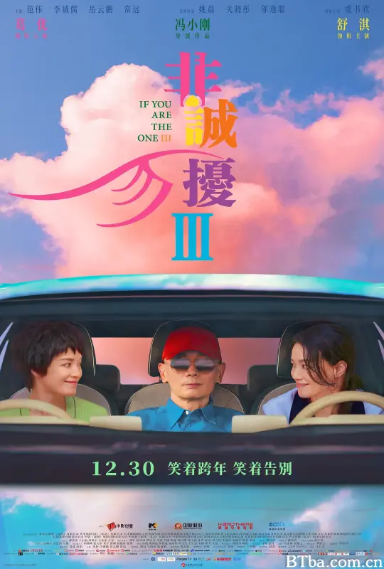 非诚勿扰3 (2023) 1080P/4K BT磁力 迅雷网盘下载