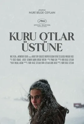 枯草/荒草残雪(港)^春风劲草(台)/Kuru Otlar Üstüne