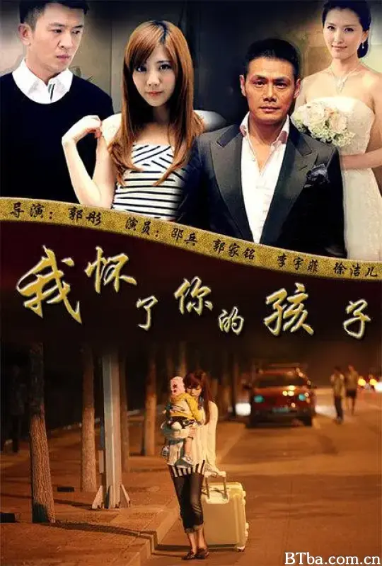 我怀了你的孩子 (2013)  高清免费观看 BT磁力 迅雷网盘下载